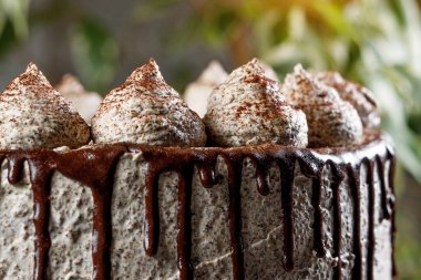 Kremalı pasta manzaralı. Erimiş çikolata ve borulu noktalar