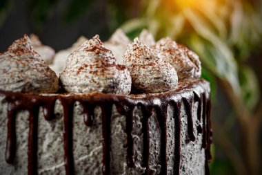 Kremalı pasta manzaralı. Erimiş çikolata ve borulu noktalar