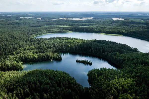 Top View Forest Lake — Stock Photo, Image