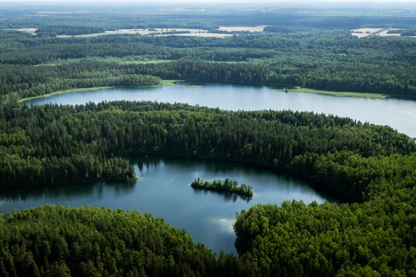 Top View Forest Lake — Stock Photo, Image