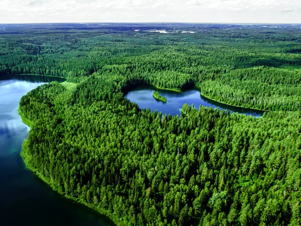 Top view of a forest lake. — Stock Photo, Image
