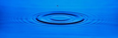 Mavi su halkaları, havuzdaki çember yansımaları..
