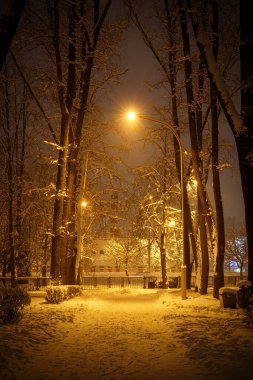 Kış kenti parkındaki patika. Fenerlerin sırası.