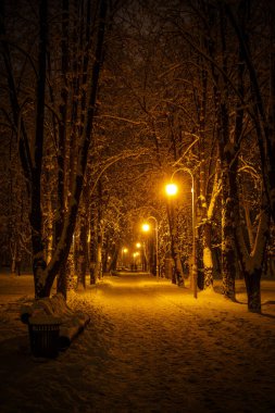 Akşamları karla kaplı bir kış parkı.