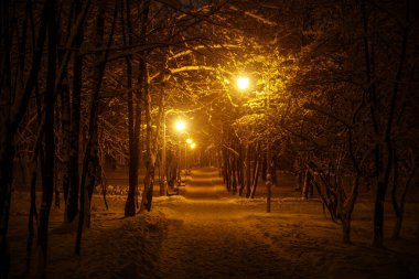 Kış kenti parkındaki patika. Fenerlerin sırası.