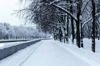 Şehir parkında kış seti.