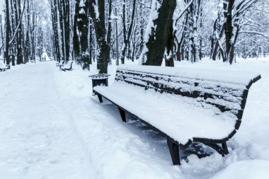 Şehir parkında karla kaplı bir bank. Kış manzarası