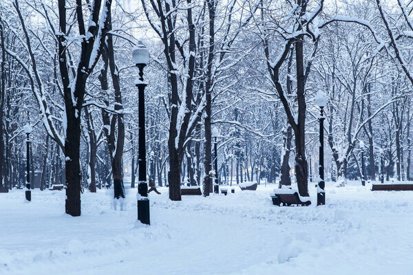 Winter in the city park. Snow alleys