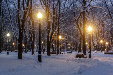 Akşamları, sokak lambalarıyla kaplı kar parkı.