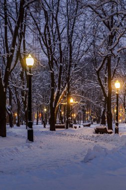 Akşamları, sokak lambalarıyla kaplı kar parkı.