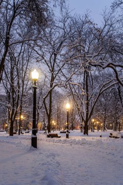 Akşamları karla kaplı bir kış parkı.