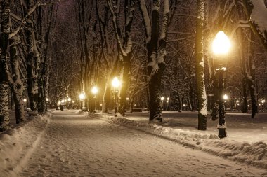Akşamları, sokak lambalarıyla kaplı kar parkı.