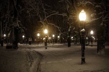 Karlı şehir parkı Kış gecesinde.