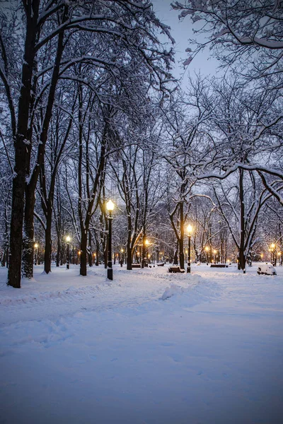 Parc Ville Enneigé Une Nuit Hiver — Photo