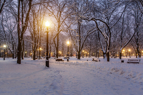 Snowy city park on a winter night.
