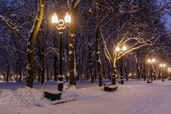 冬の夜の雪の都市公園 — ストック写真