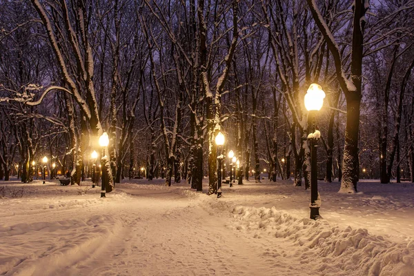 冬の夜の雪の都市公園 — ストック写真
