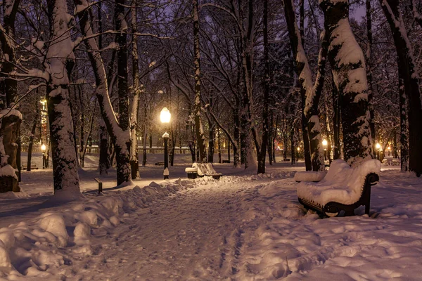 冬の夜の雪の都市公園 — ストック写真