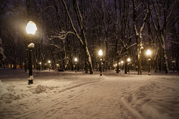 Parc Hiver Soirée Recouvert Neige Avec Lampadaire Inclus — Photo