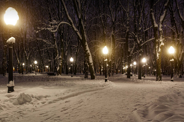 Snowy city park on a winter night.