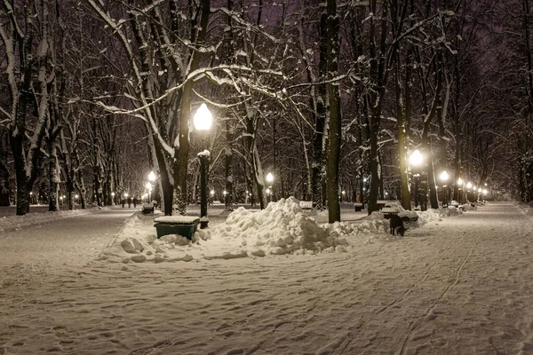 雪に覆われた夜の冬の公園にはランプが並んでいます — ストック写真
