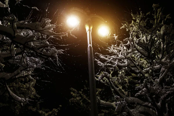 Moderne Straßenlaterne Winter Schnee Den Bäumen Ringsum — Stockfoto