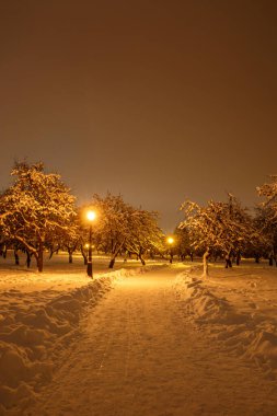 Akşamları, sokak lambalarıyla kaplı kar parkı.