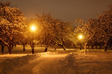 Kış parkındaki patika..