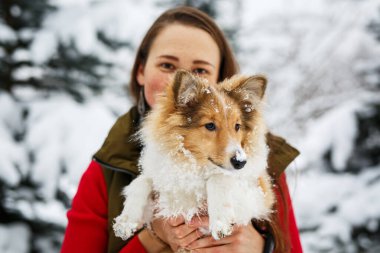 Kız, Sheltie 'ye arka planda sarılıyor.