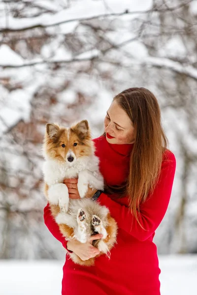 Uma Rapariga Num Vestido Vermelho Com Cão Sheltie Nos Braços — Fotografia de Stock