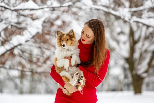 Uma Rapariga Num Vestido Vermelho Com Cão Sheltie Nos Braços — Fotografia de Stock