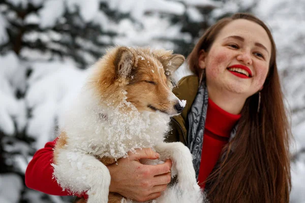 Dziewczyna Przytula Sheltie Tle Drzew Zimowych — Zdjęcie stockowe