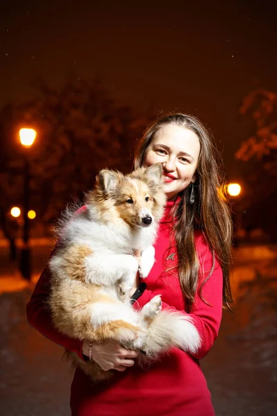 赤いドレスの少女は犬を抱きしめる 背景に冬の夜の公園 — ストック写真