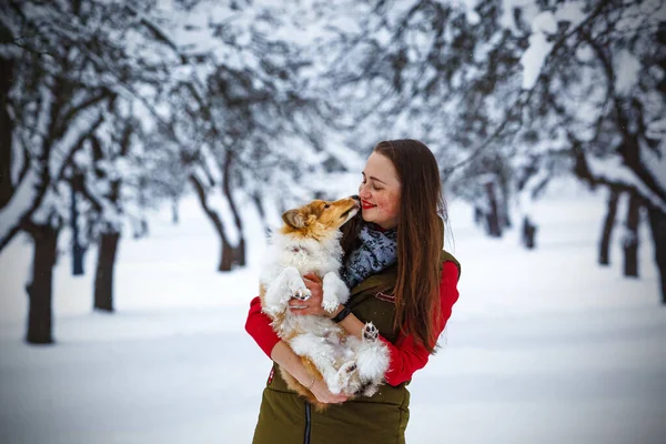 Chica Con Perro Parque Invierno —  Fotos de Stock