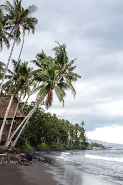 Okyanus kıyısı. Ormanda bir ev suyla çevrilidir. Volkanik siyah kum. Bali adası