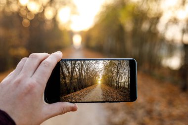 Cep telefonuyla sonbahar fotoğrafı çek.