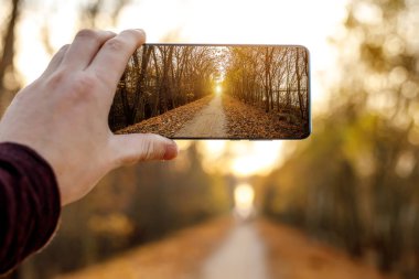 Cep telefonu kullanıyor. Bir sonbahar sokağının fotoğrafını çeker.