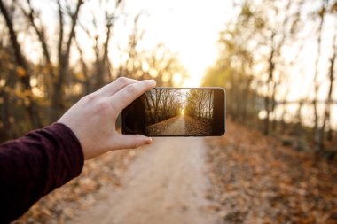 Cep telefonuyla sonbahar fotoğrafı çek.