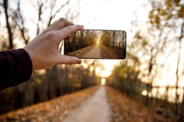 Cep telefonu kullanıyor. Bir sonbahar sokağının fotoğrafını çeker.