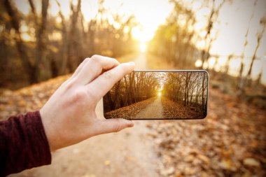 Cep telefonuyla sonbahar fotoğrafı çek.