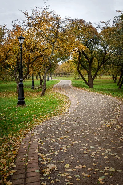 Sonbahar Parkında Bir Sokak — Stok fotoğraf