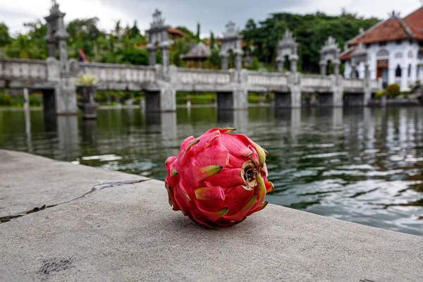 Dragon fruit on a stone. Nature park on background