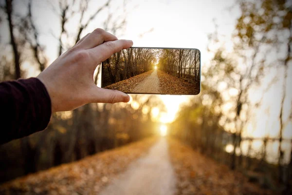 Készíts Egy Őszi Fotót Egy Mobiltelefonon — Stock Fotó