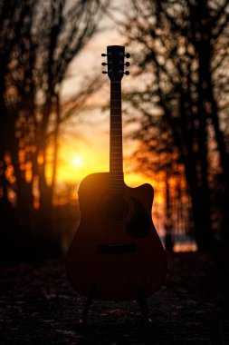 Karanlık sonbahar ormanında akustik gitar