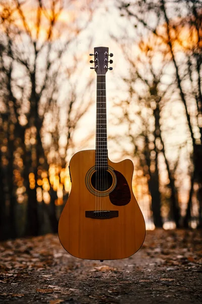 Акустическая Гитара Тёмном Осеннем Лесу — стоковое фото