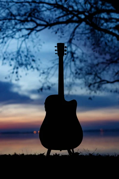 Gitarre Der Natur Romantisches Konzept — Stockfoto