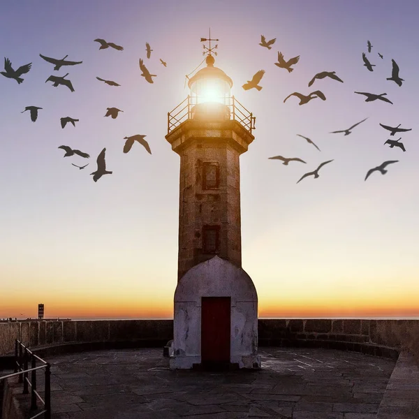 Fyren Med Vänt Ljus Och Flygande Fåglar Runt — Stockfoto