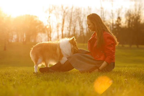 Eigenaar Traint Hond Het Park Bij Zonsondergang Vrouw Sheltie Shetland — Stockfoto