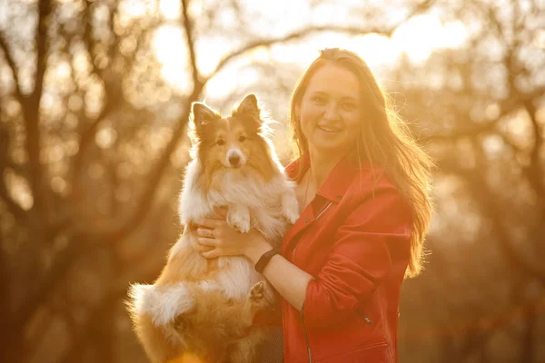 Köpeği Olan Bir Kadın Gün Batımında Sahibi Olan Mutlu Bir — Stok fotoğraf