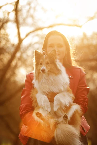 Cão Com Proprietário Parque — Fotografia de Stock